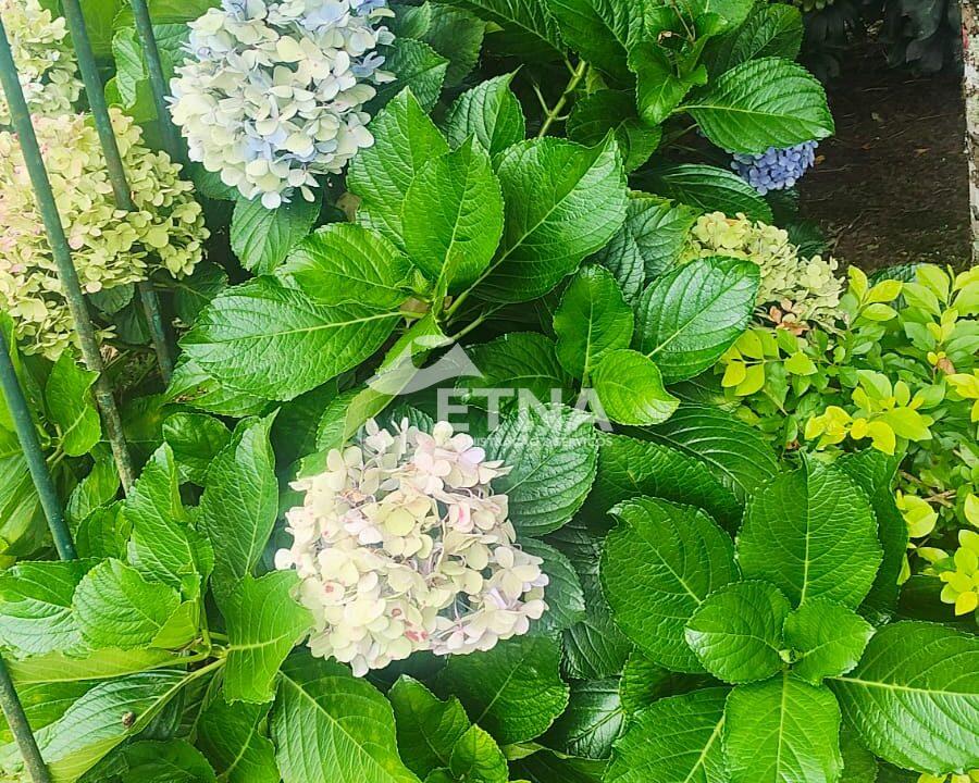 WhatsApp Image 2026-01-20 at 09.09.27 (3)